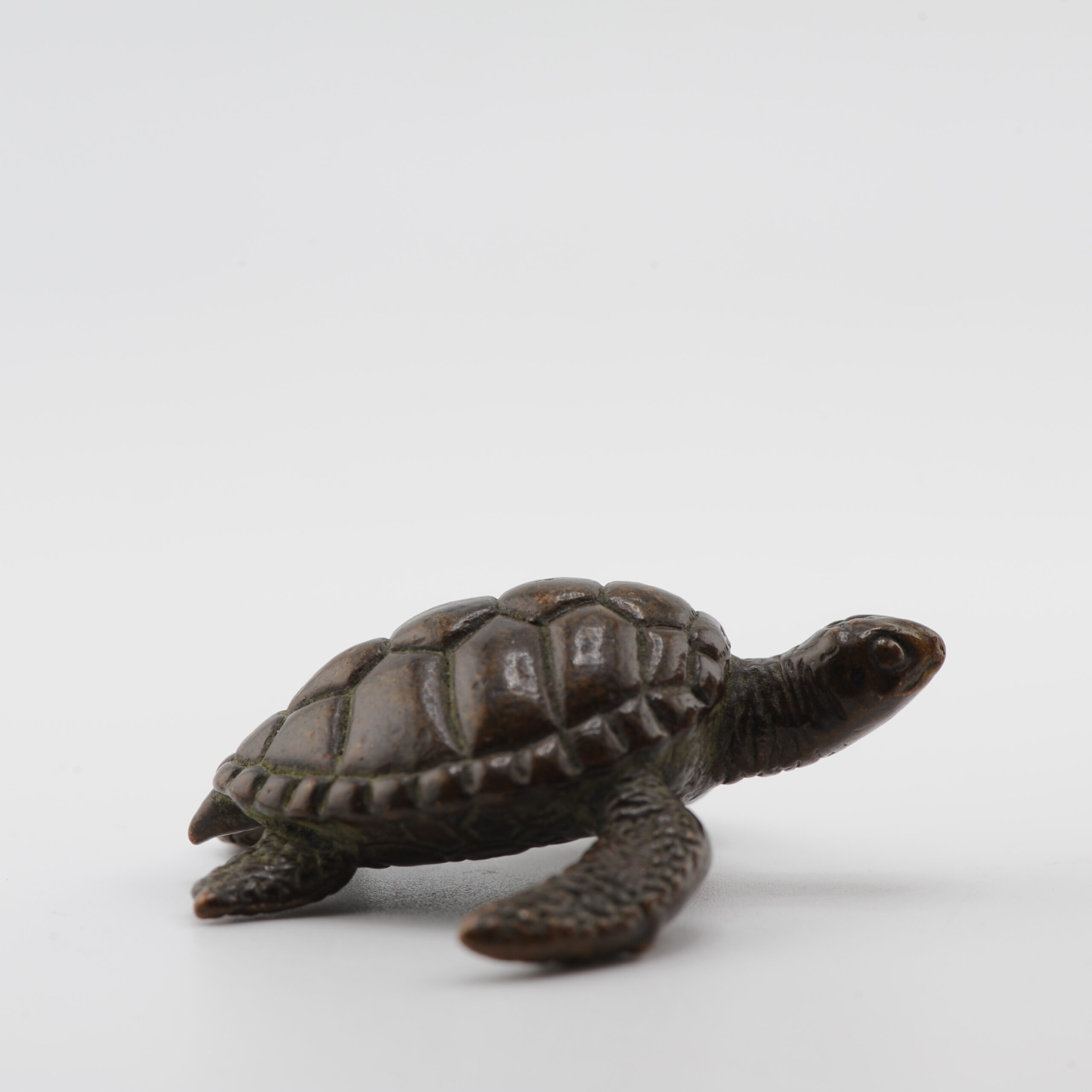Mini Okimono Bronze Japanese Statue of a Turtle Second half 20th Century - Image 6