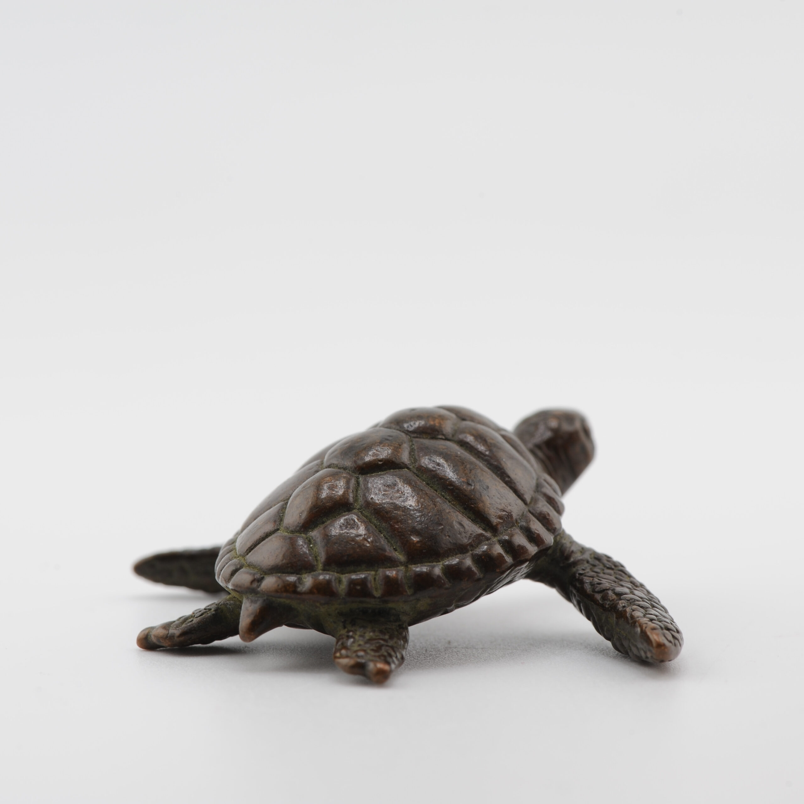 Mini Okimono Bronze Japanese Statue of a Turtle Second half 20th Century - Image 7