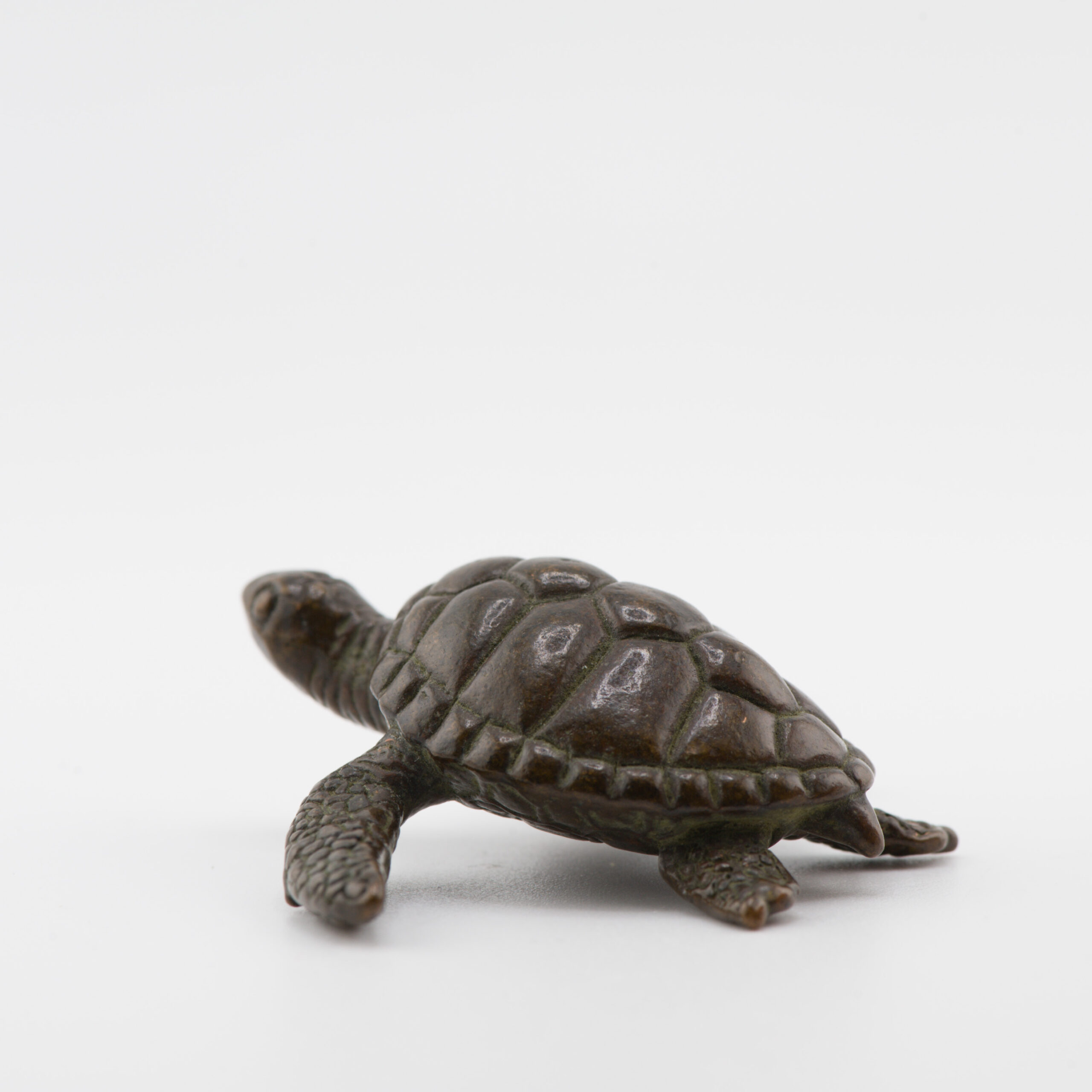 Mini Okimono Bronze Japanese Statue of a Turtle Second half 20th Century - Image 10