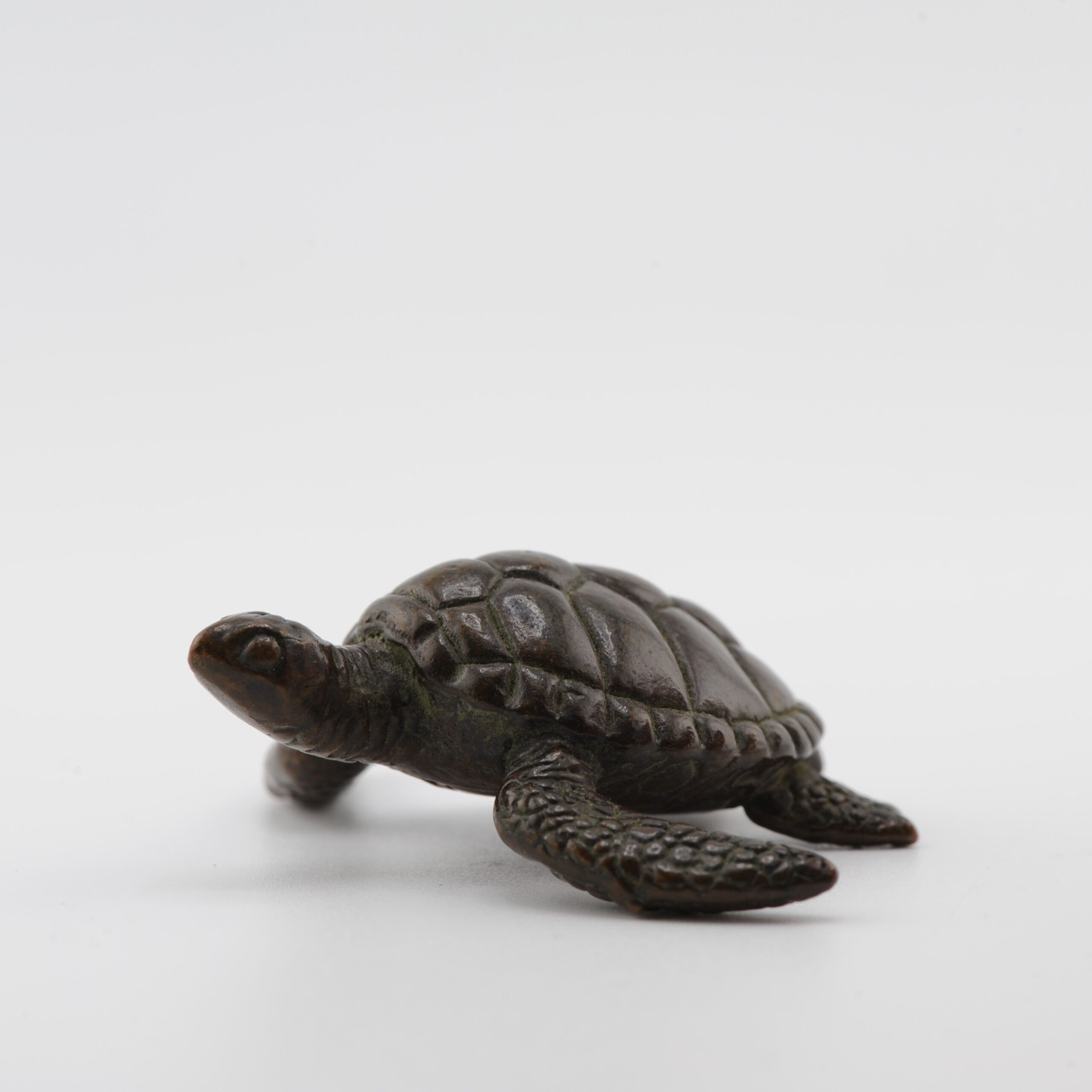 Mini Okimono Bronze Japanese Statue of a Turtle Second half 20th Century - Image 12