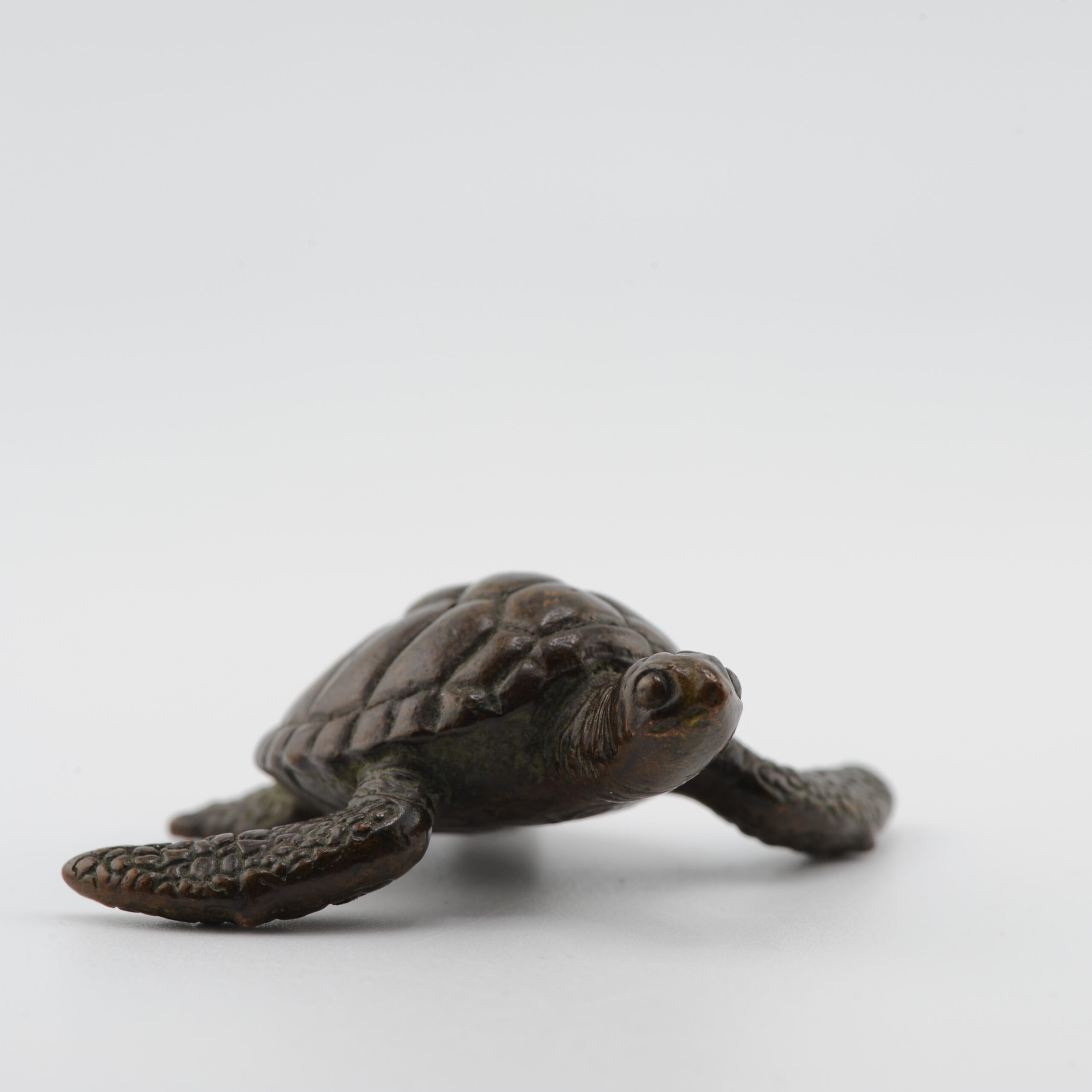 Mini Okimono Bronze Japanese Statue of a Turtle Second half 20th Century - Image 4