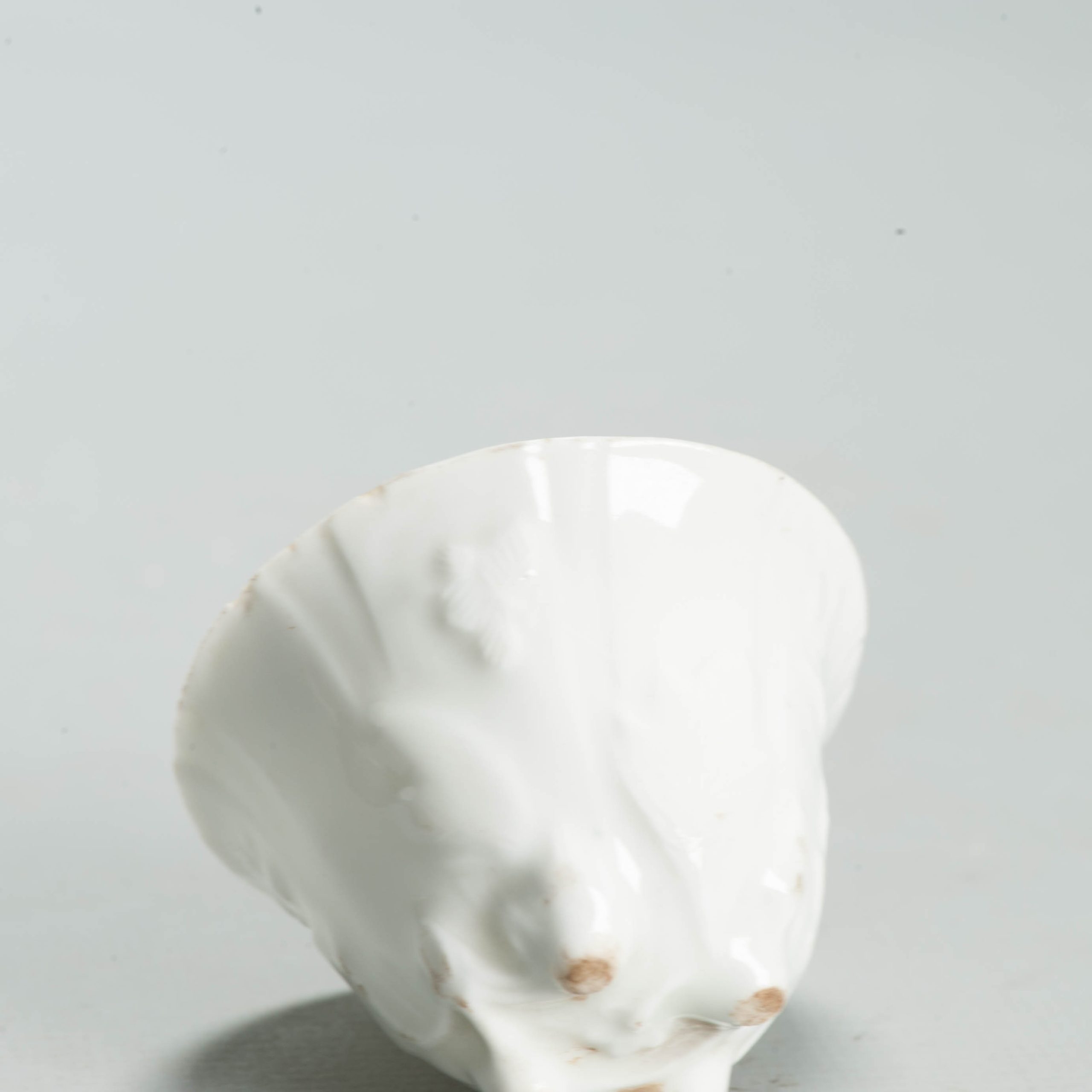 Antique Chinese Rare 17th C Dehua Blanc de Chine Libation Cup Flowers Insects - 图片 5