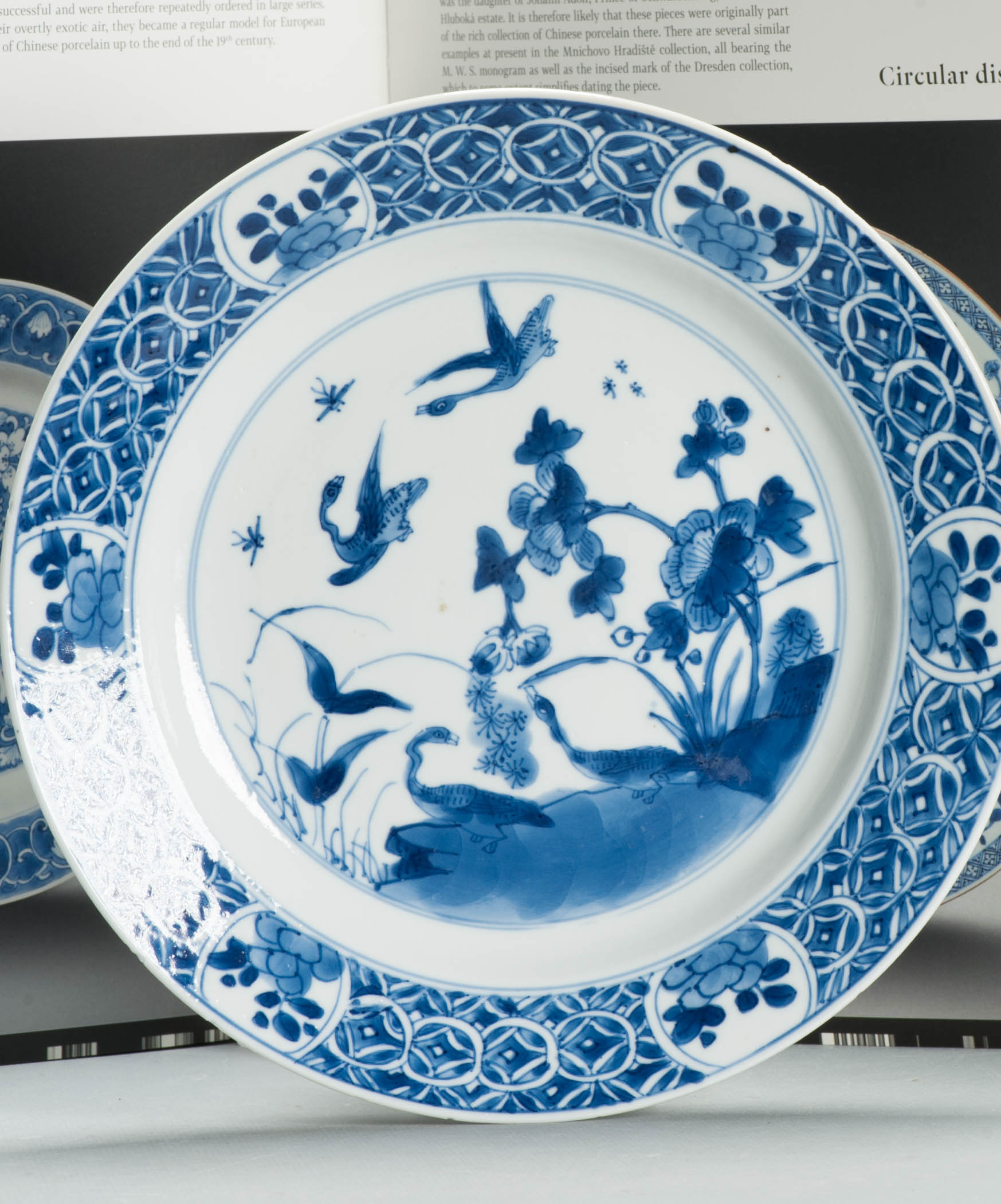 Antique Chinese Porcelain Kangxi Period Plate Dish Ducks Flowers Marked - Image 5