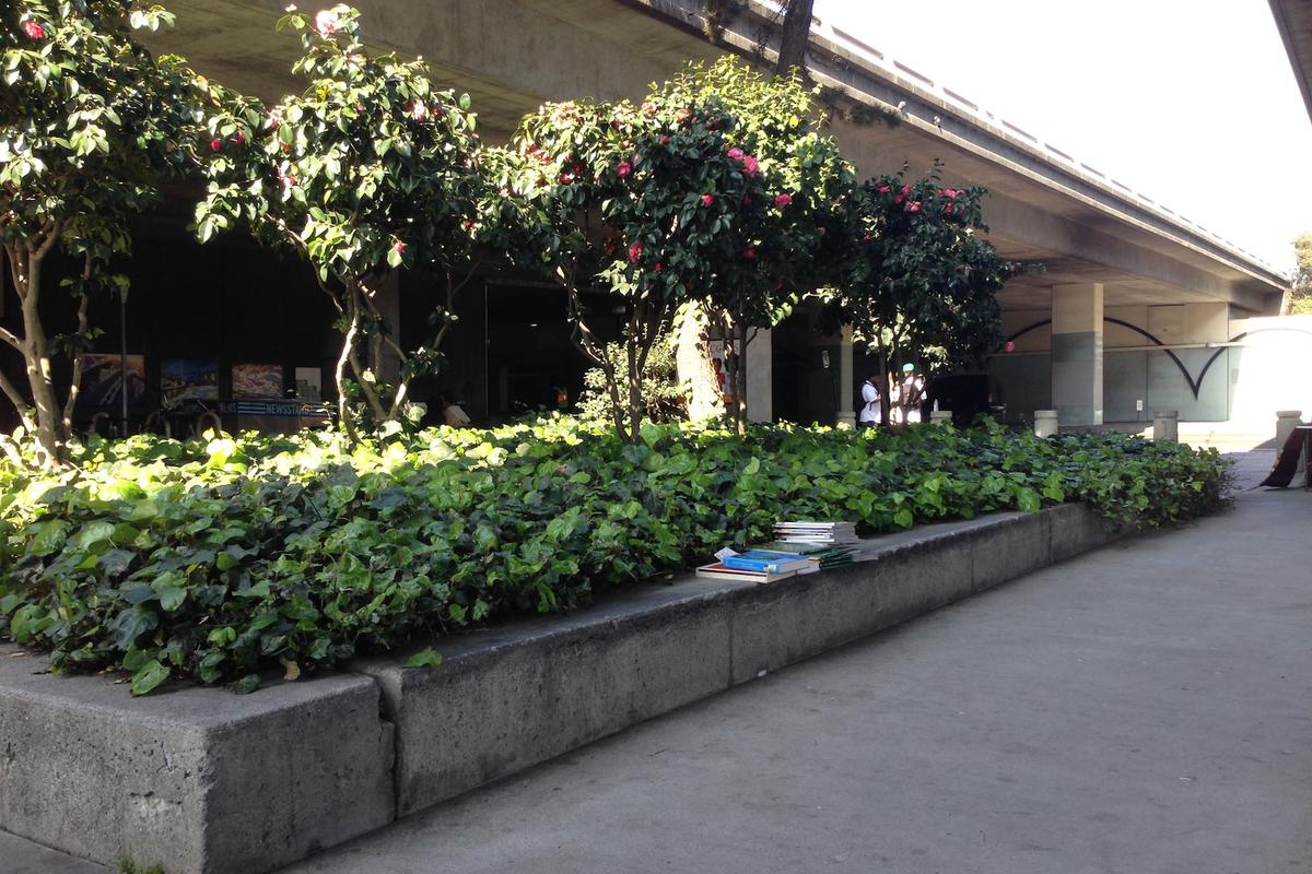 Image for skate spot MacArthur Bart Ledges