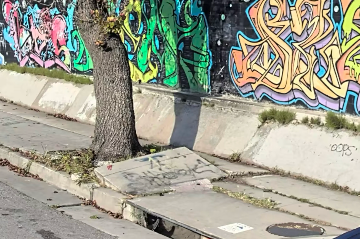 Image for skate spot Eagle Rock Blvd - Bump To Bank Ledge