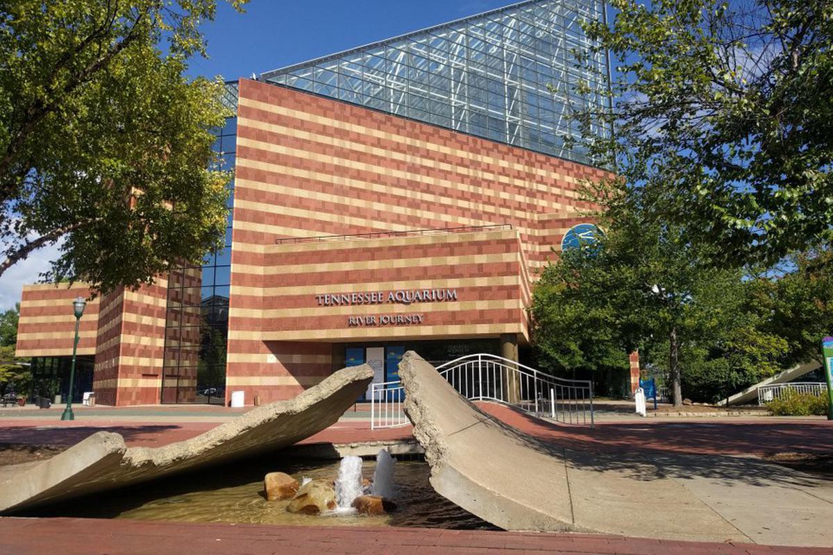 Image for skate spot Tennessee Aquarium Transfer