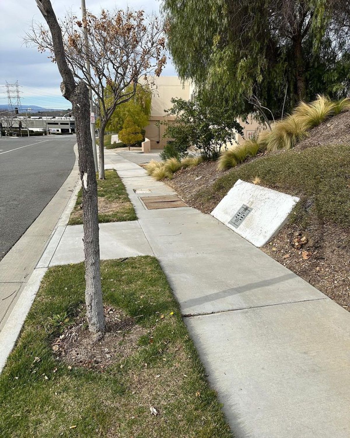 Image for skate spot Ruether Ave - Sidewalk Bank