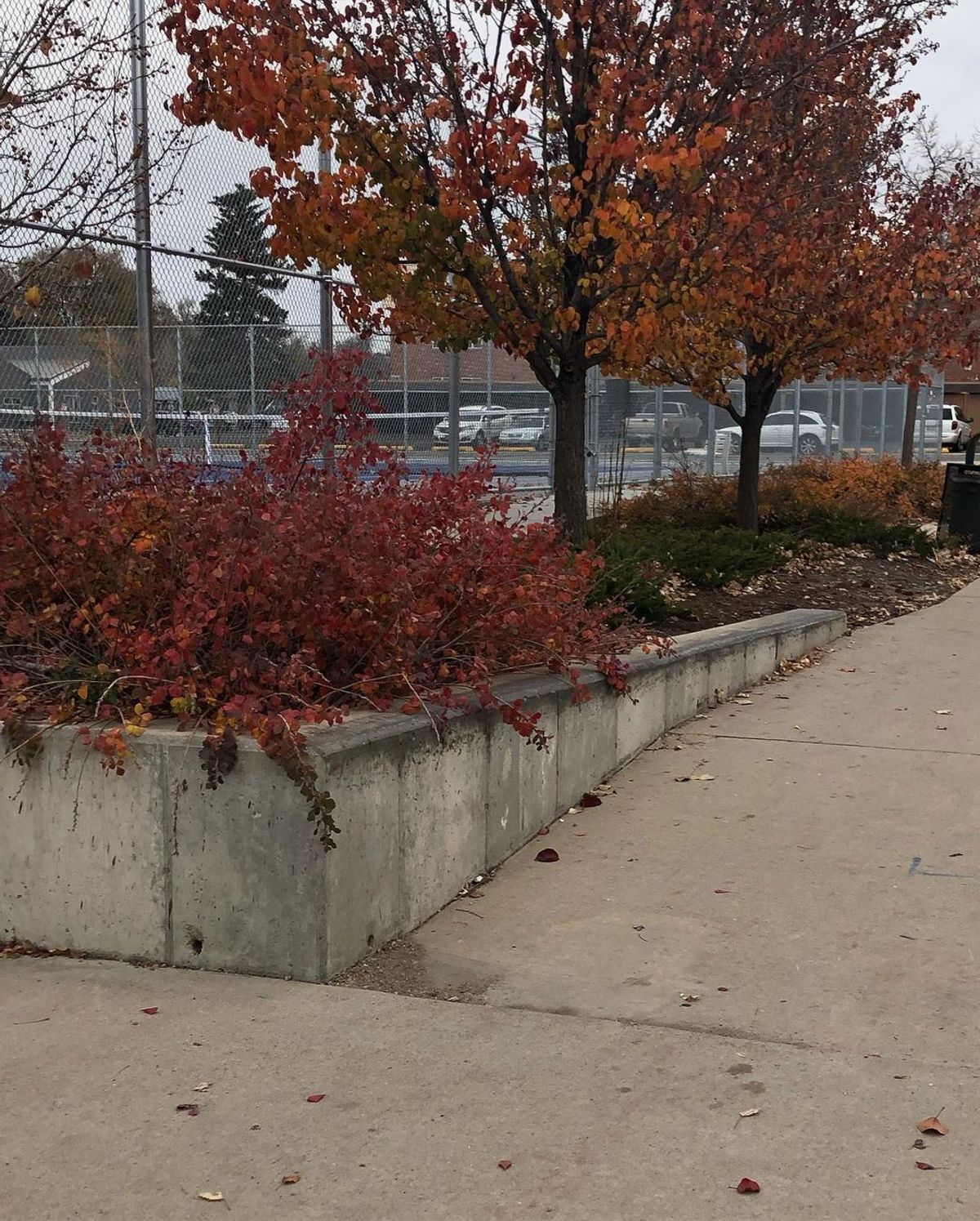 Image for skate spot Longmont High School - Low To High Ledge