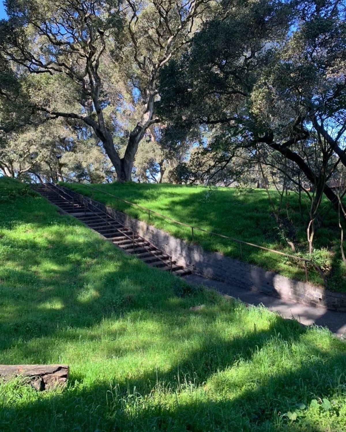 Image for skate spot Golden Gate Park - Double Set Rail