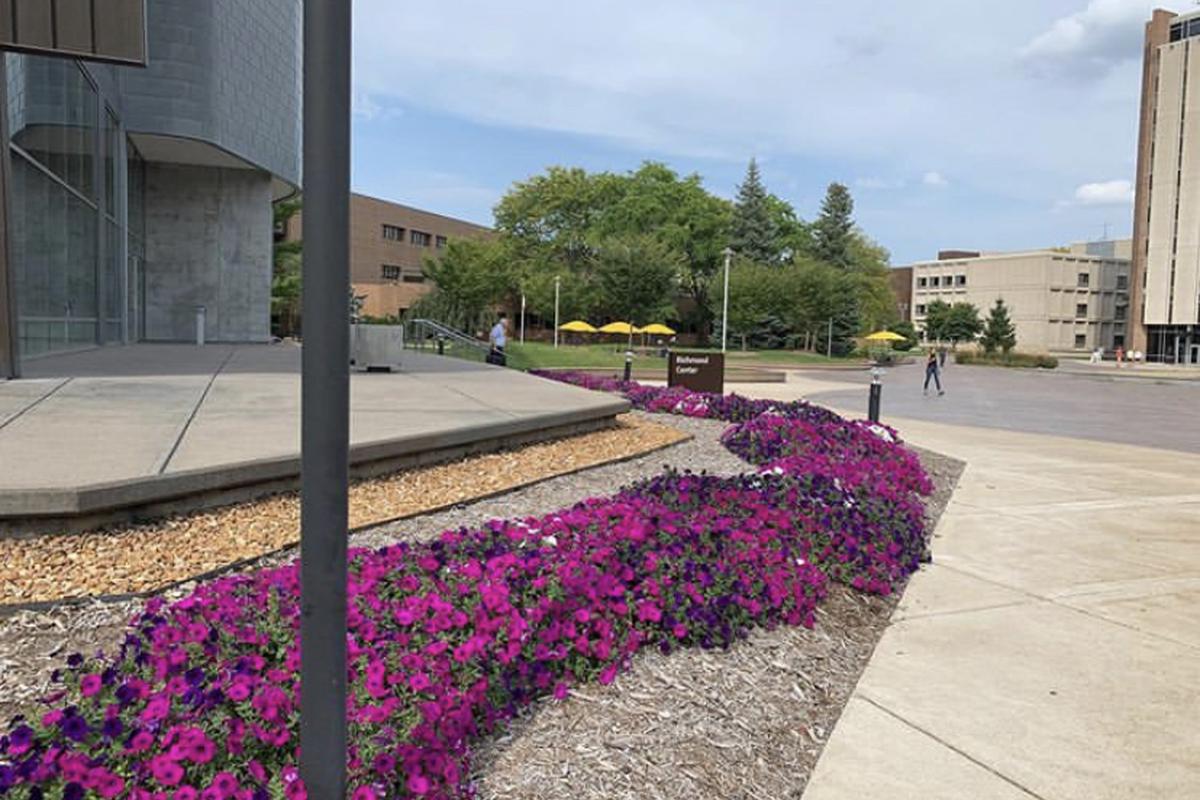 Image for skate spot Miller Auditorium Gap