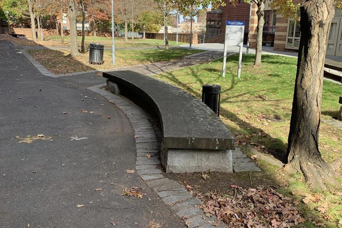 Image for skate spot Wood Curved Ledge