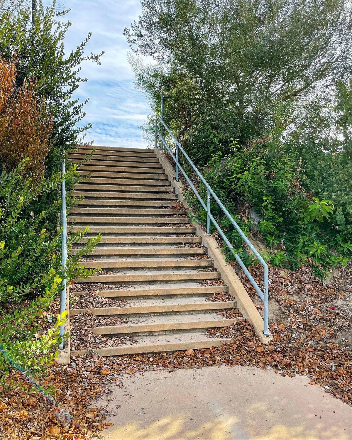 Image for skate spot Torrey Pines High School 21 Stair Rail