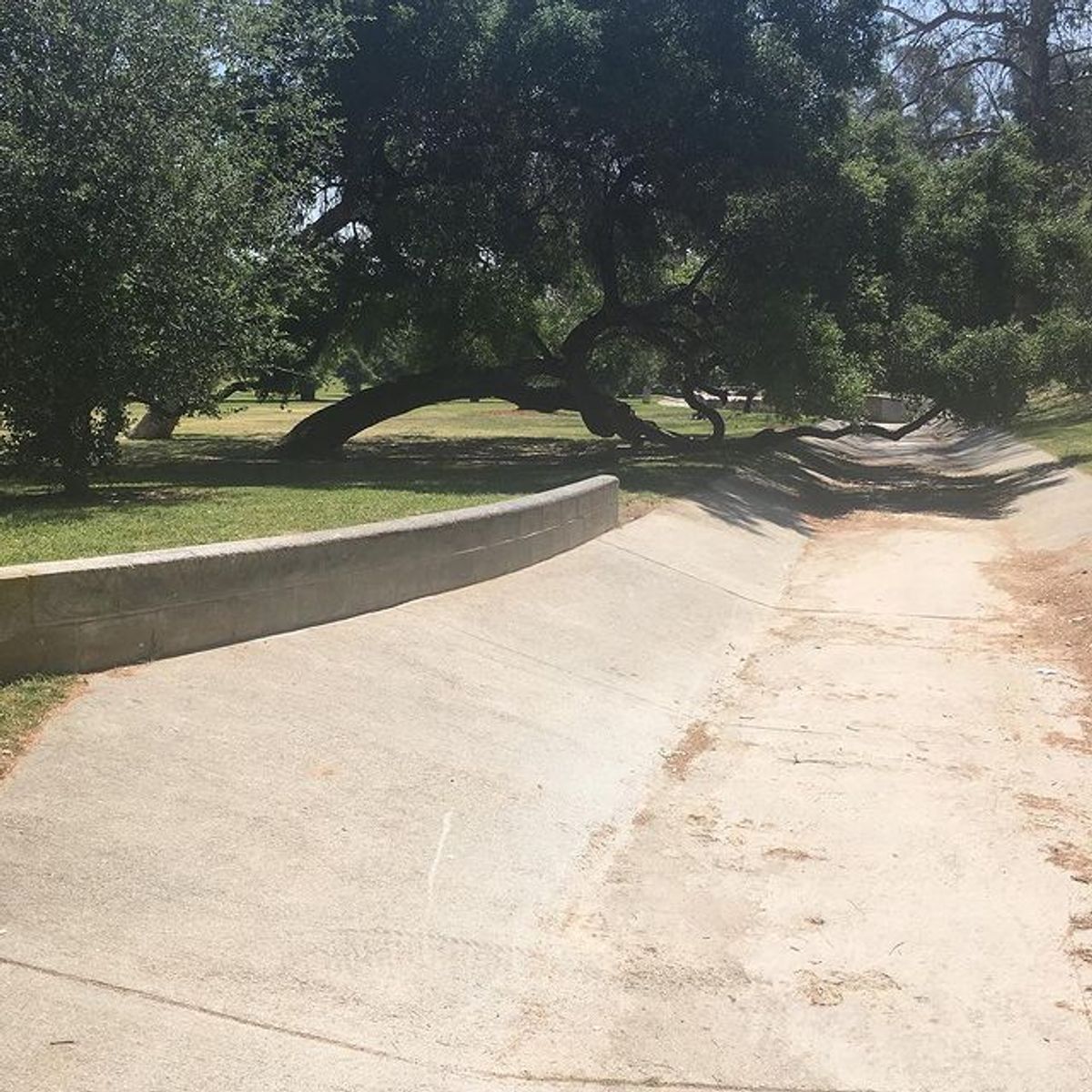 Image for skate spot Griffith Park Bank To Ledge