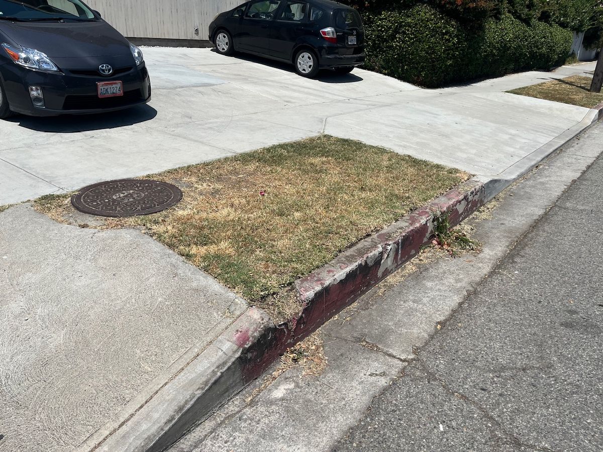 Image for skate spot Franklin Ave - Curb Cut Grass Gap