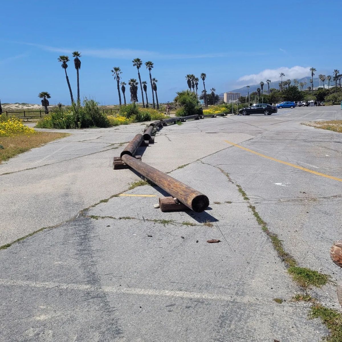 Image for skate spot The Jolly Oyster - Wood Logs