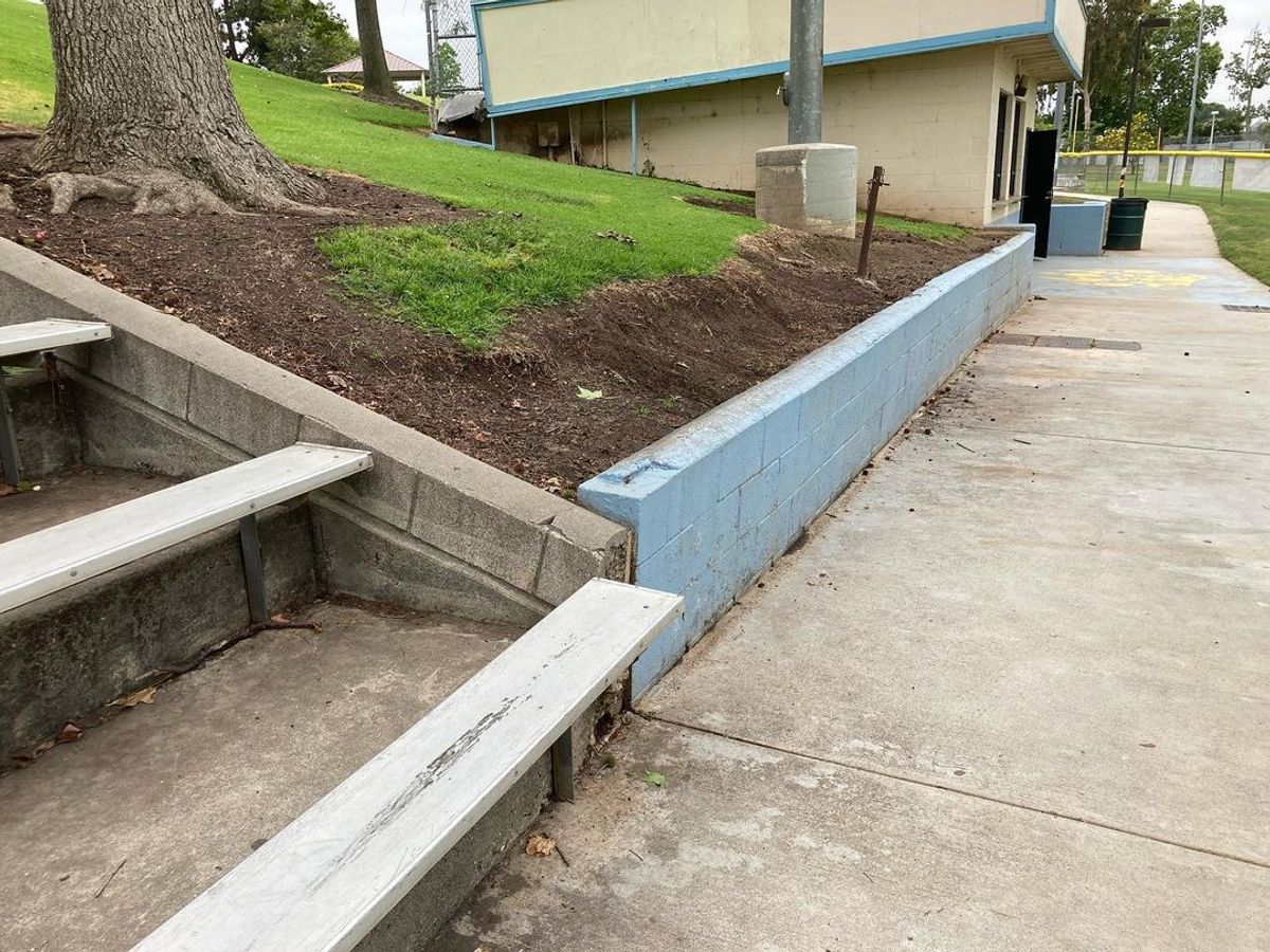 Image for skate spot Cortez Park - Pop Out Ledge