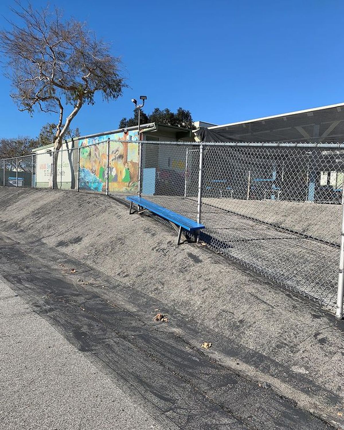 Image for skate spot Lorena Street Elementary School