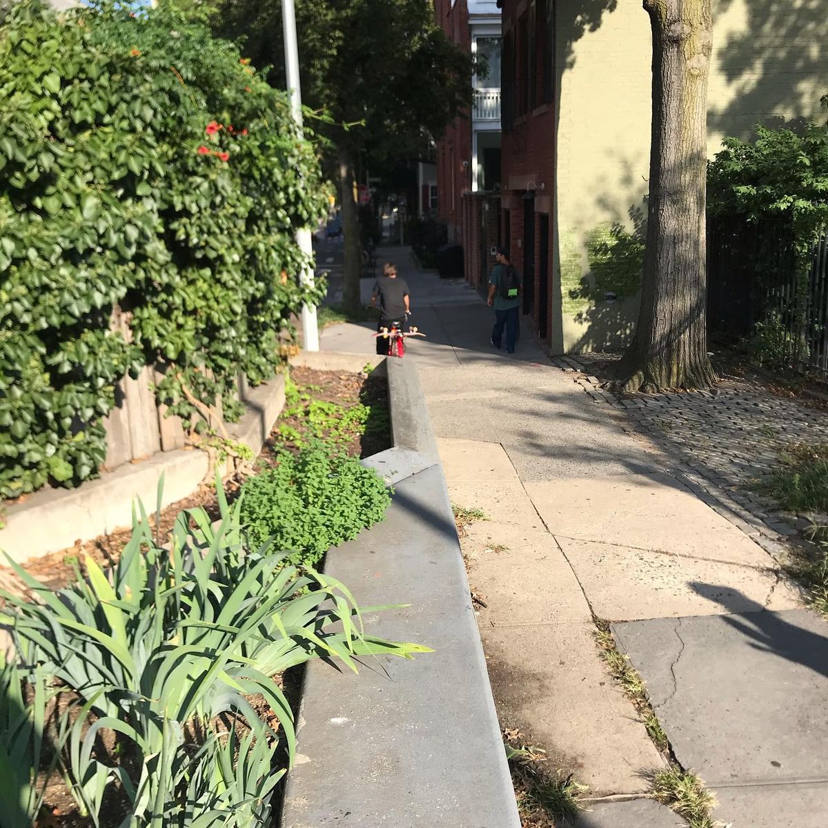 Image for skate spot Harry Chapin Playground - Ride On Ledge