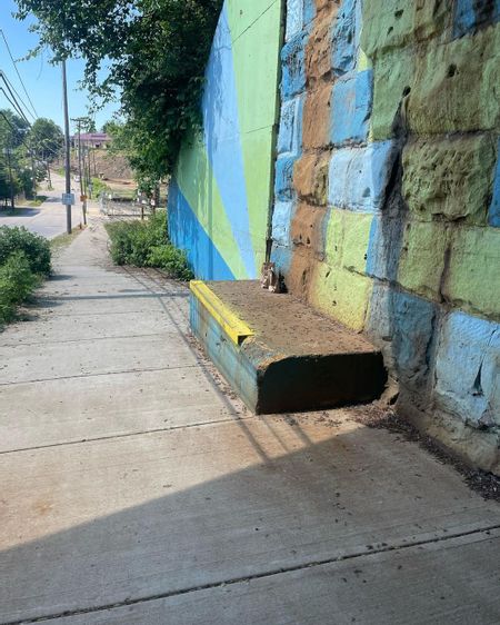 Preview image for Willey Ave - Coping Ledge