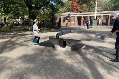 Preview image for Tompkins Ping Pong Table