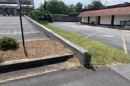 Image for China Star Ledge Over Pine Straw 