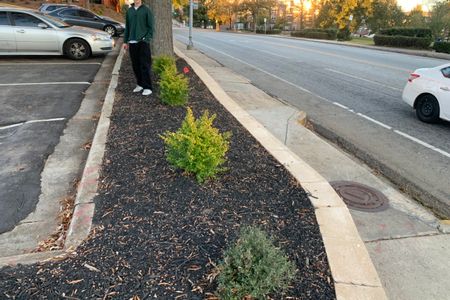 Preview image for Downtown Decatur Bump To Street