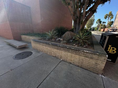 Preview image for CSULB - Bench To Brick Ledge