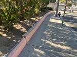 thumbnail for Clifford Street Elementary School - Downhill Ledge / Street Gap