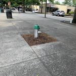 thumbnail for Downtown Decatur Hydrant