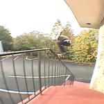 thumbnail for Big Gap Over Rail