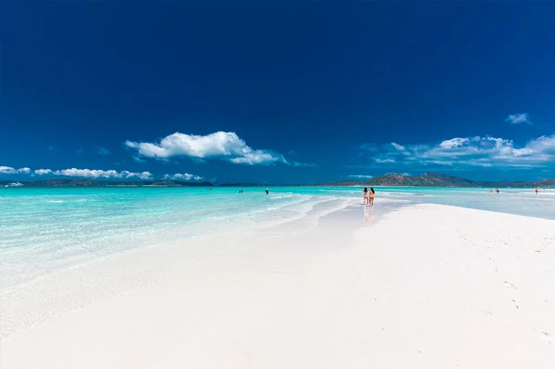 The Tropic