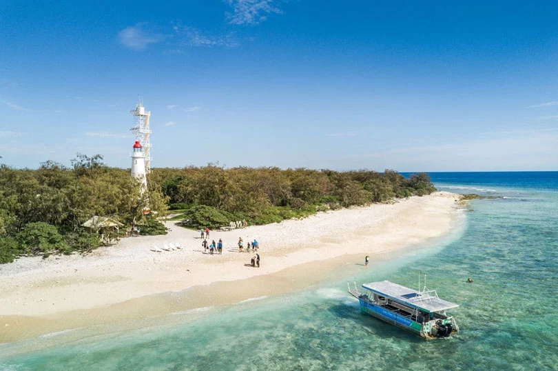 Lady Elliott Island