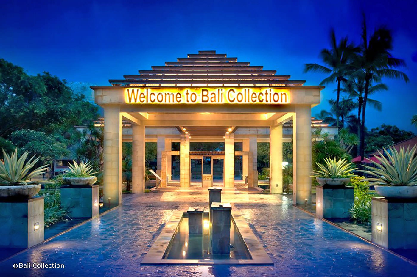 Bali Bağlantısı