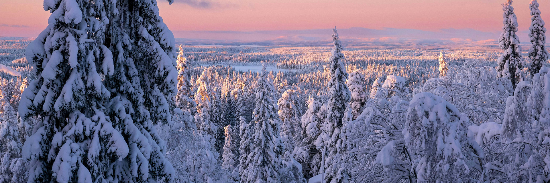 Alpine skiing holidays on pristine snow