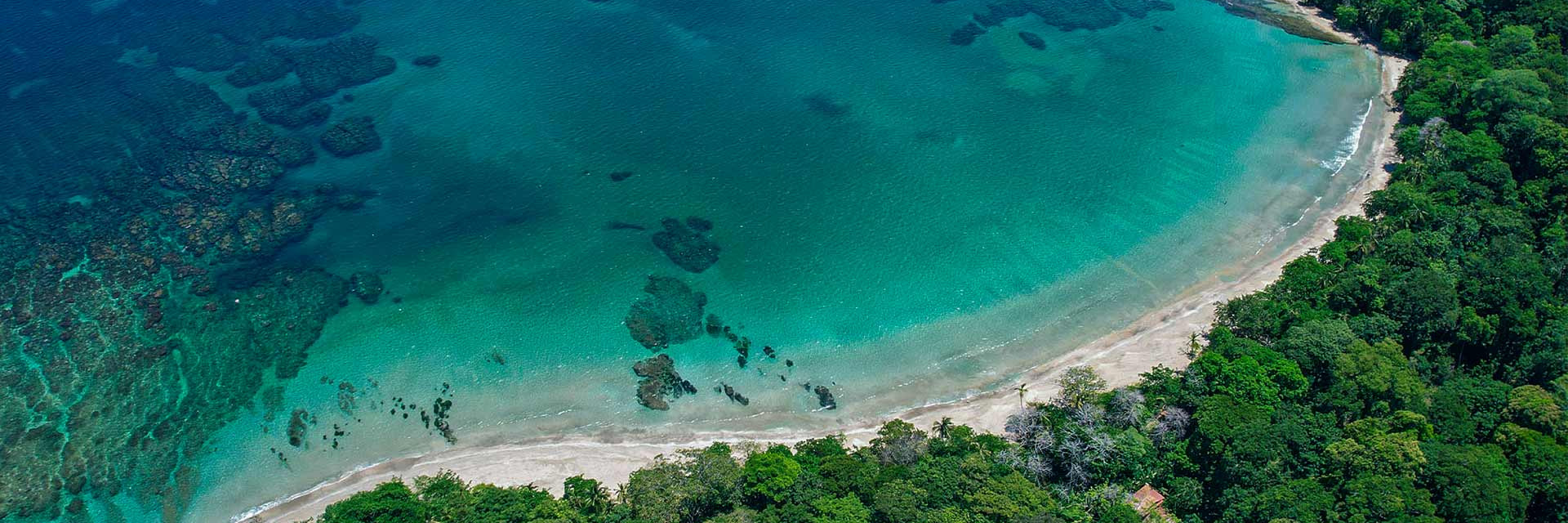 Luxury villa in Costa Rica surrounded by lush rainforest, perfect for a nature-immersed retreat.