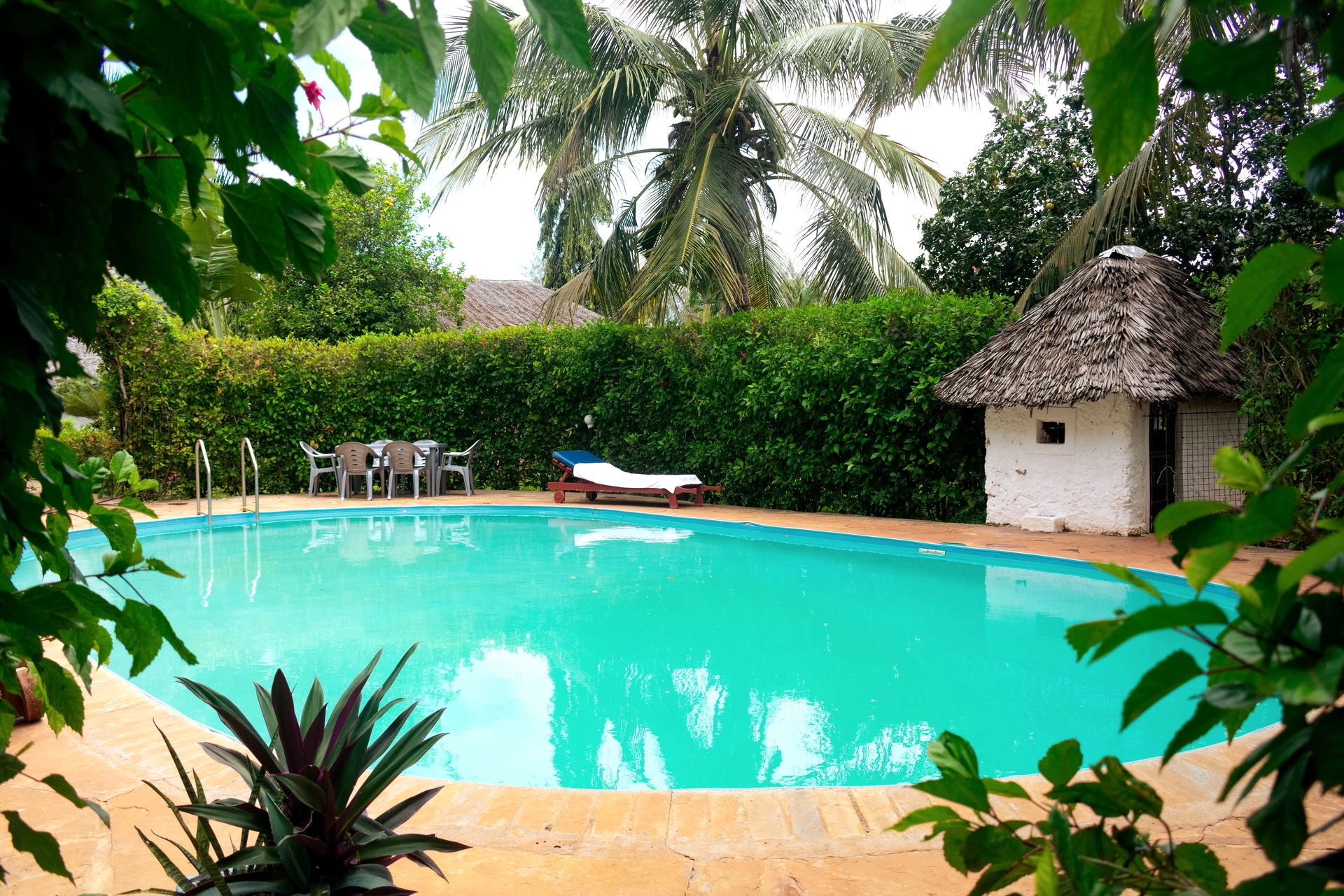 Exclusive villa rental in Kenya with pool facing roaming wildlife and horizon sunsets.
