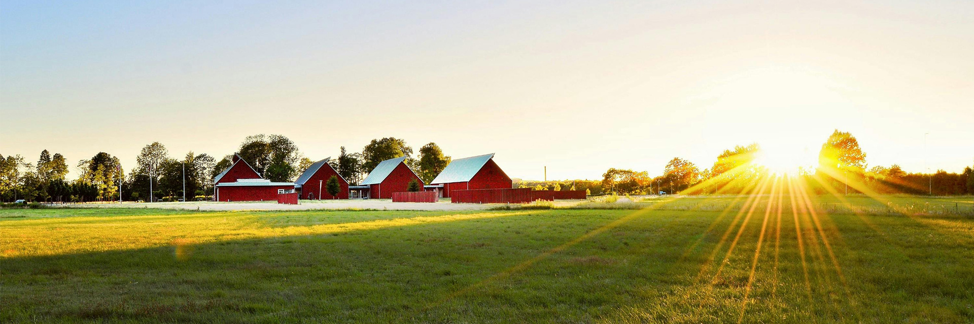 Scandinavian villa rental in Sweden with sauna, timber interiors and glass-wrapped forest views.