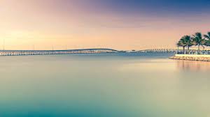 Best things to do in Charlotte Harbour, Florida