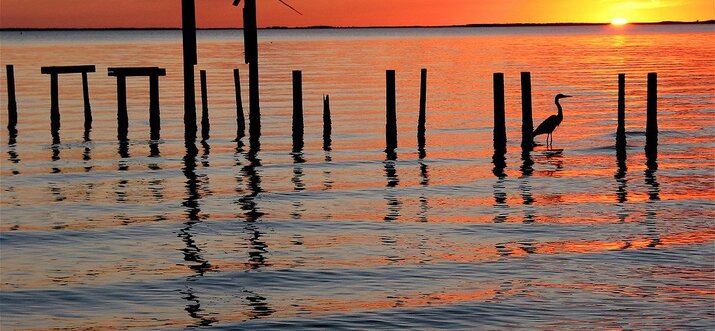 Best things to do in Charlotte Harbour: