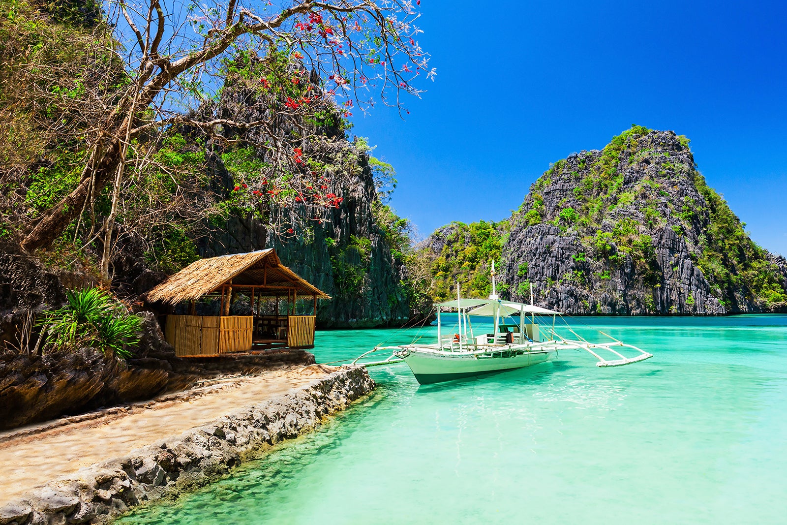 Island Boat tours