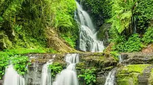 Lamington National Park