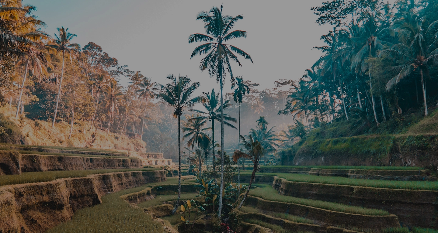 Secluded Ubud Bali villa rental perched above the jungle canopy, perfect for wellness and yoga retreats.