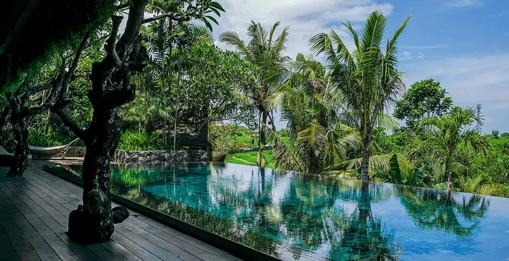 Luxury Bali villa in Canggu with a private infinity pool nested within a lush tropical garden sanctuary.