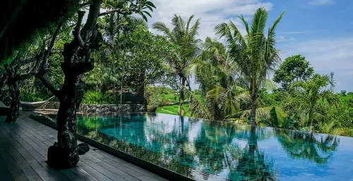 Luxury Bali villa in Canggu with a private infinity pool nested within a lush tropical garden sanctuary.