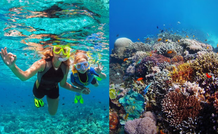 Ocean Adventures