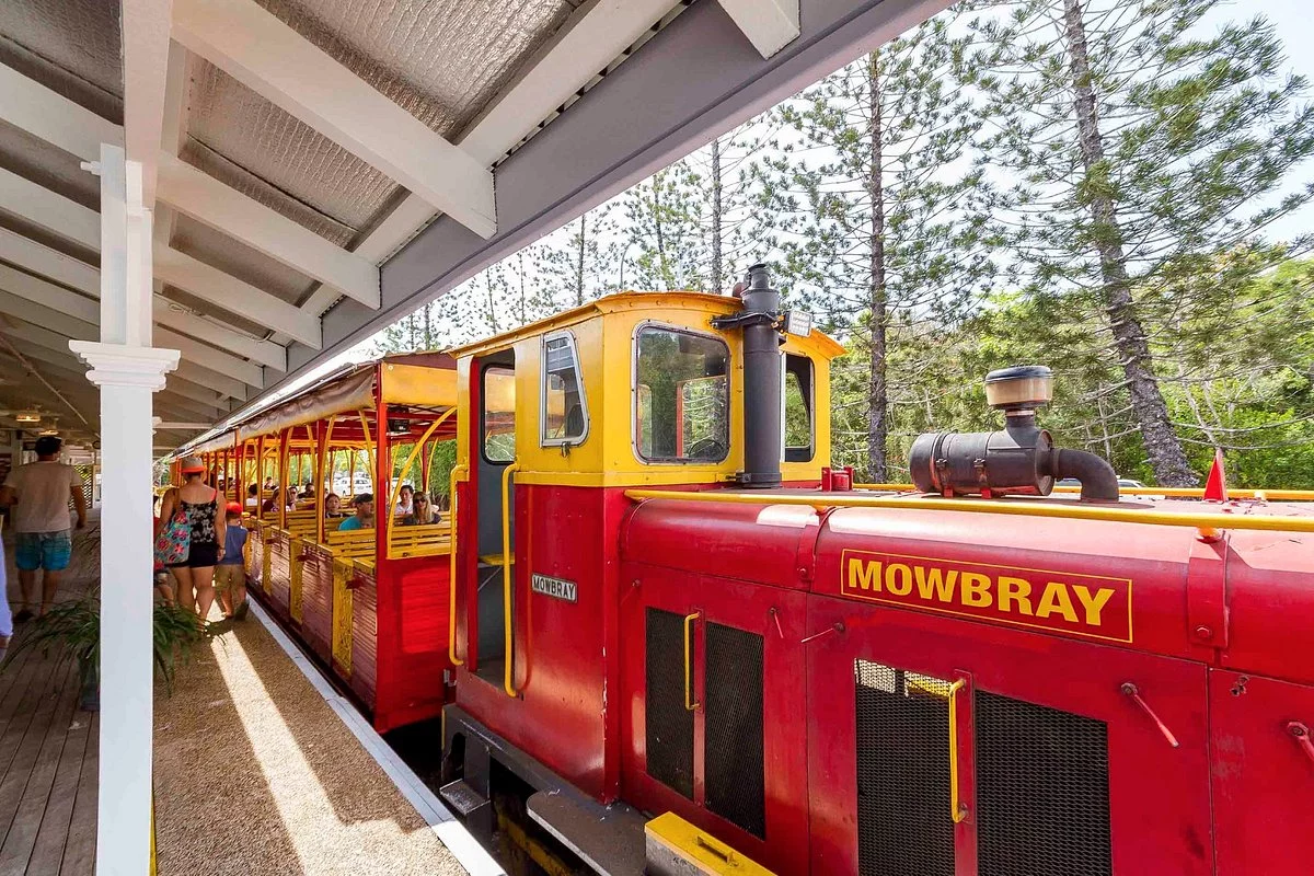 Bally Hooley Steam Train