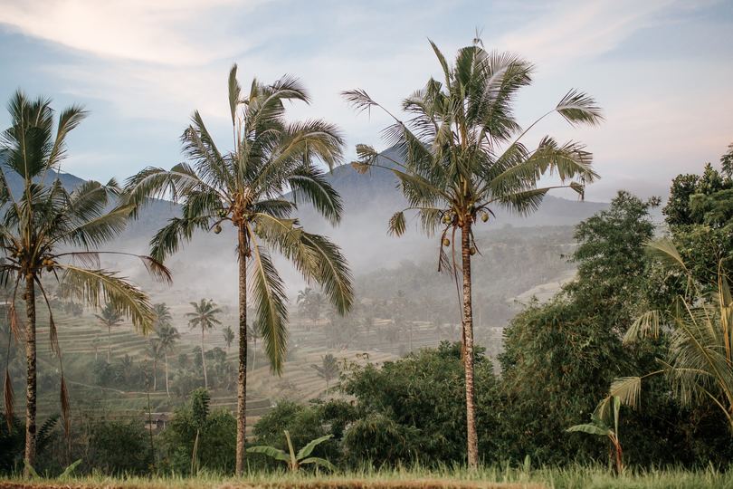 Imagine Your Family Renting a Luxury Holiday Villa Close to Seminyak’s Main Attractions, Villa Bali 2053