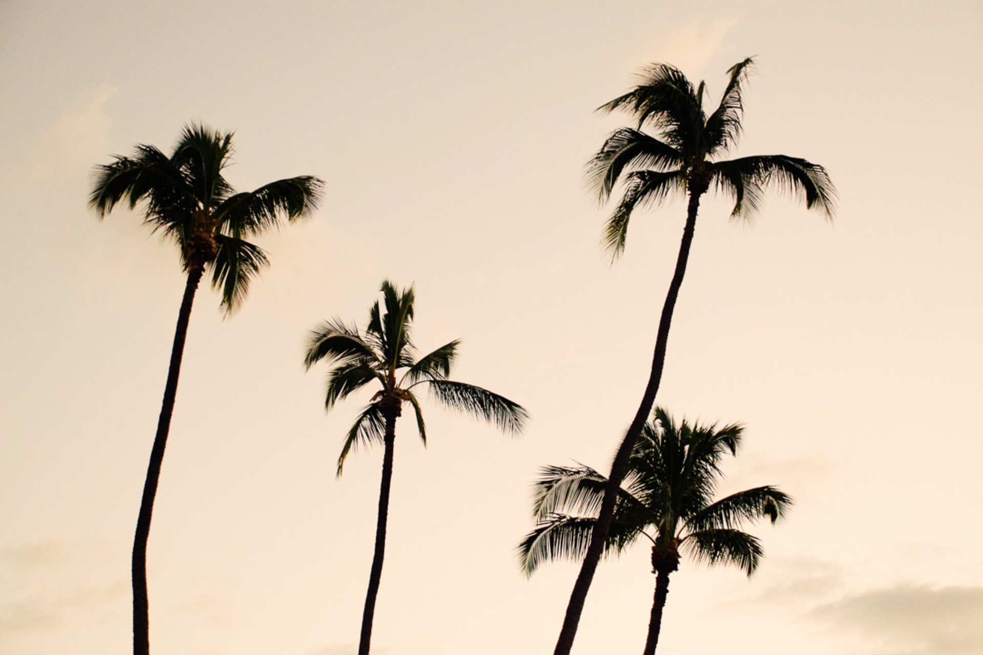 Imagine Your Family Renting a Luxury Holiday Villa Close to Seminyak’s Main Attractions, Villa Bali 2053