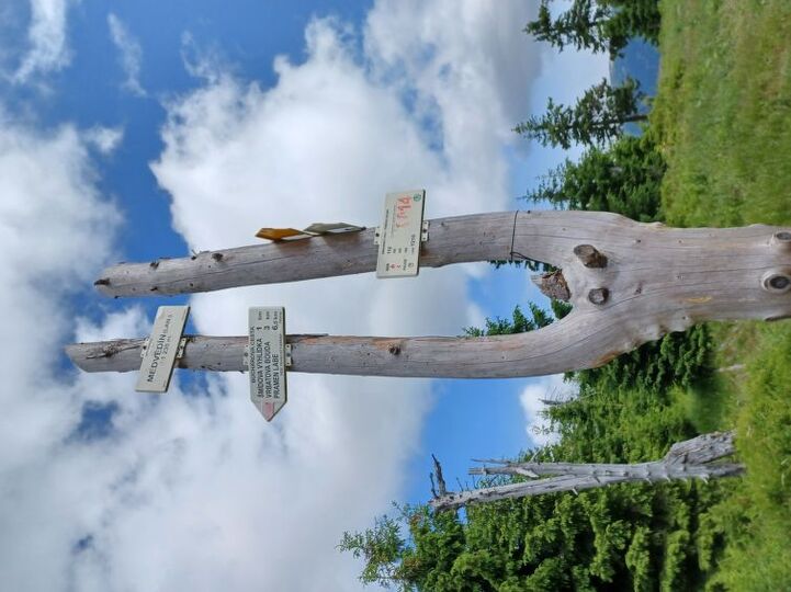 Place