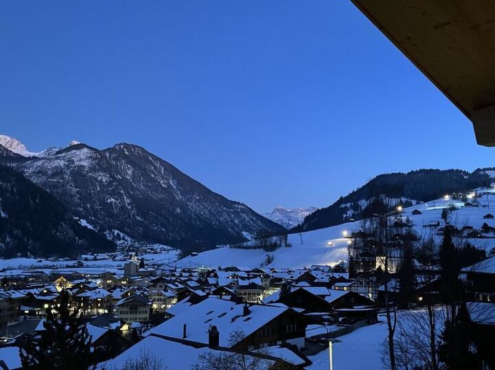 Cozy Haven in Zweisimmen City, 1194